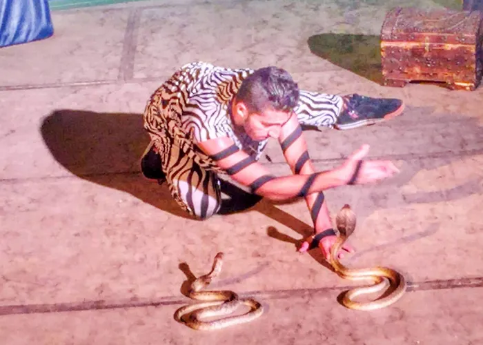Verginia & Aqua Park 4*